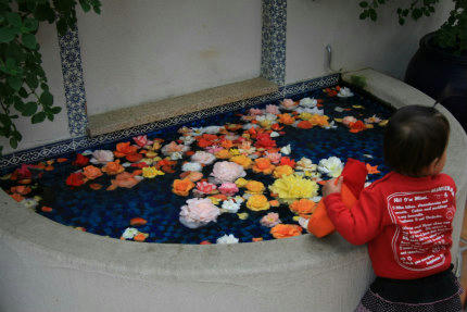 20110206_10.jpg