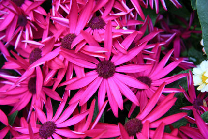 20110206_12.jpg