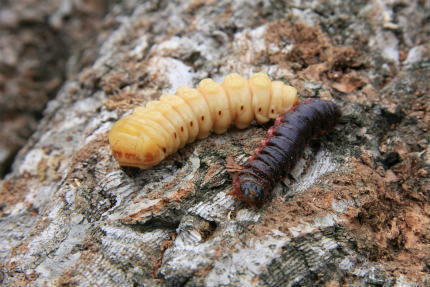 20110208.jpg