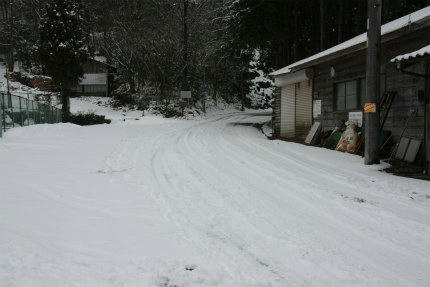 20110211_1.jpg