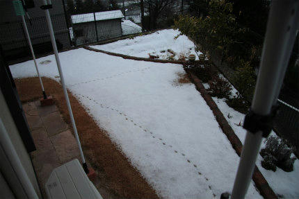 20110212_2.jpg
