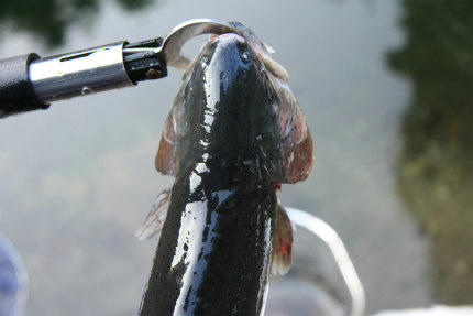 20110213.jpg