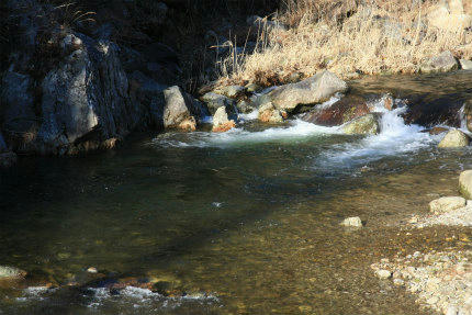 20110218.jpg
