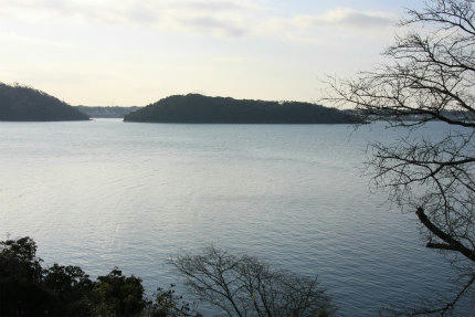 20110226_2.jpg