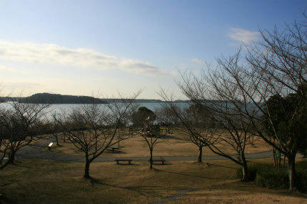 20110226_4.jpg