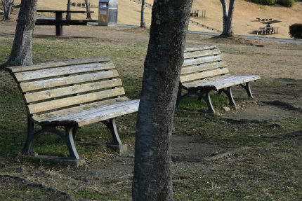 20110226_8.jpg