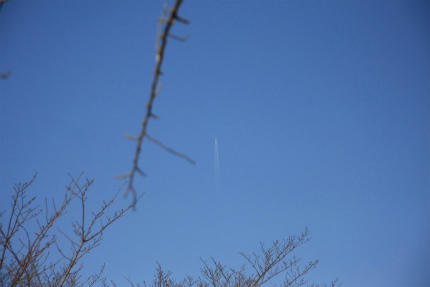 20110226_9.jpg