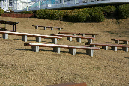 20110226_10.jpg