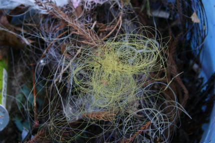 20110307.jpg