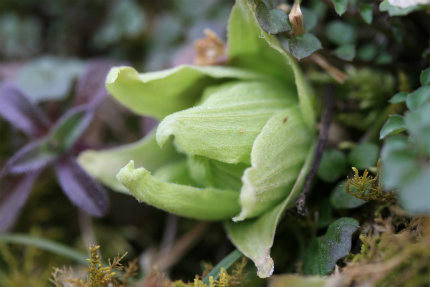 20110316_1.jpg