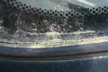 20110318_2.jpg