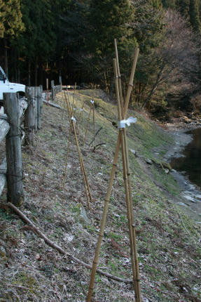 20110328_1.jpg
