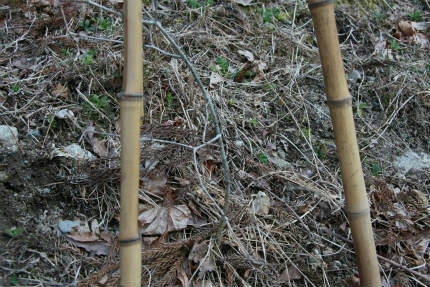 20110328_2.jpg