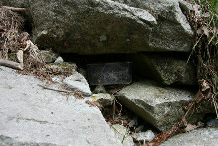 20110330_2.jpg