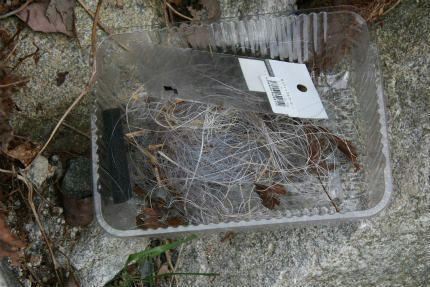 20110330_3.jpg