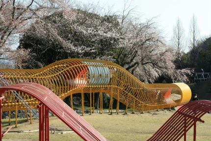 20110401_1.jpg