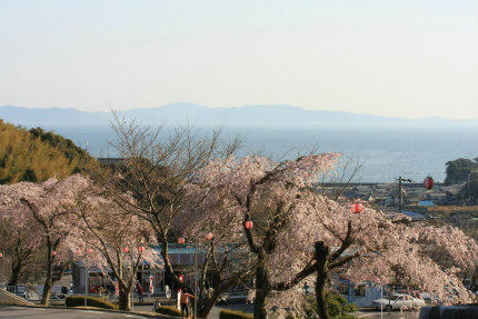 20110401_2.jpg