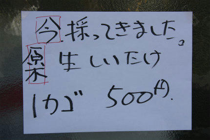 20110410_1.jpg