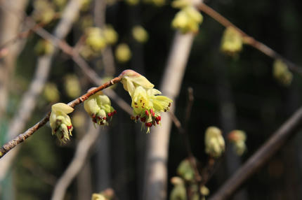 20110411_6.jpg