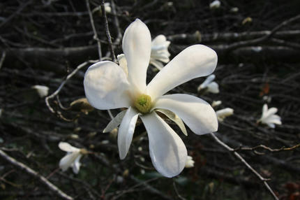 20110411_11.jpg