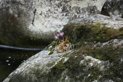 20110416_4.jpg