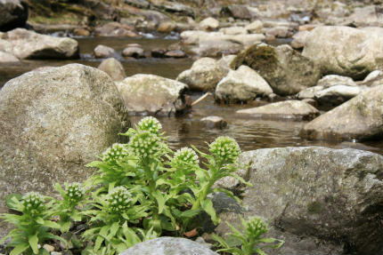 20110416_5.jpg