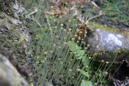 20110416_6.jpg