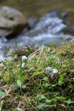 20110416_7.jpg