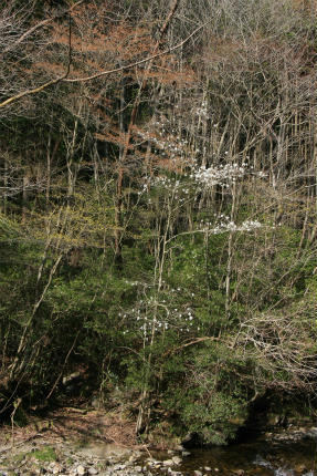 20110416_8.jpg