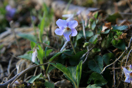 20110420_2.jpg