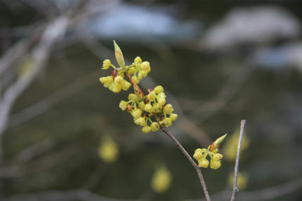 20110424_3.jpg