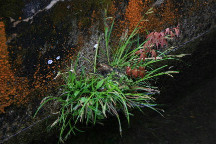 20110430_4.jpg