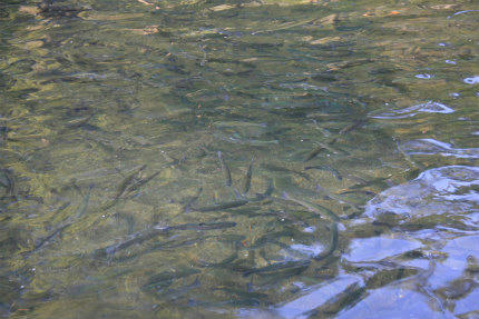 20110505.jpg