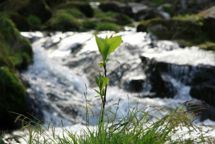 20110507_1.jpg