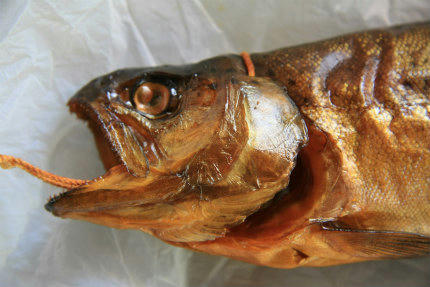 20110507_2.jpg