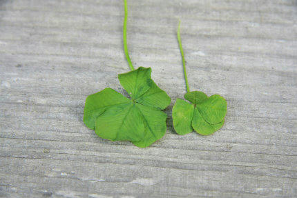 20110514.jpg