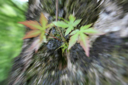 20110516_4.jpg