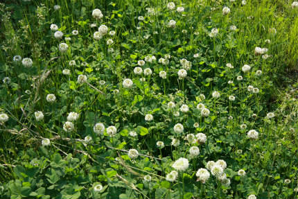 20110525_1.jpg