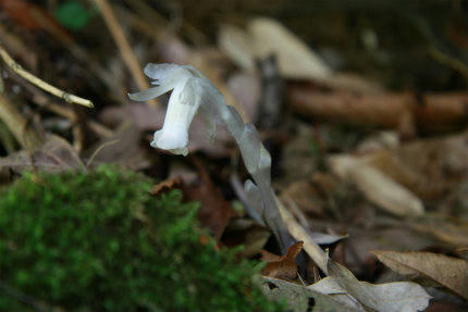20110525_2.jpg