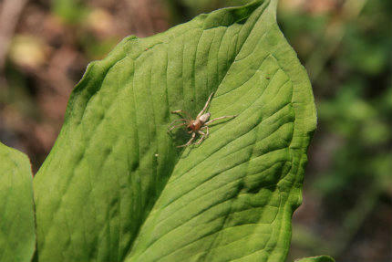 20110605_4.jpg