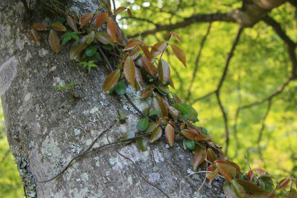 20110605_6.jpg