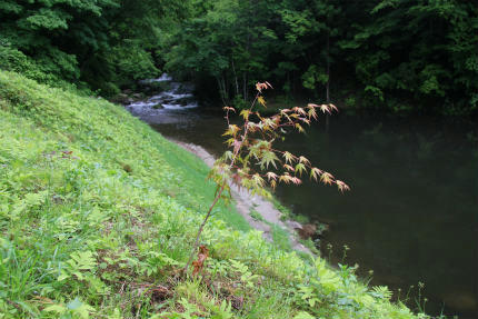20110611_2.jpg