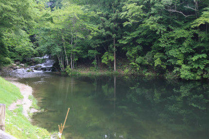 20110613.jpg