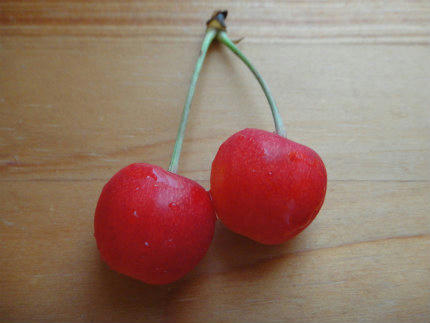 20110621_2.jpg