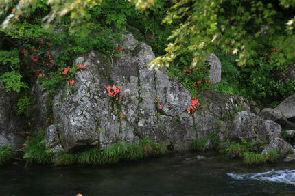 20110625.jpg