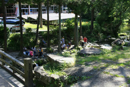 20110626_1.jpg