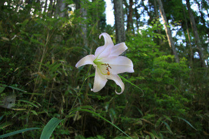 20110626_2.jpg