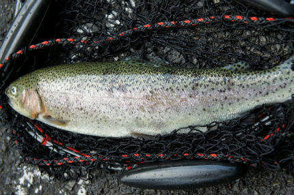 20110629_1.jpg