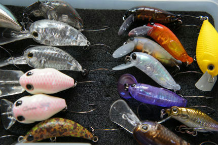 20110629_8.jpg