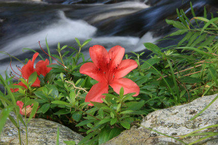 20110630_1.jpg